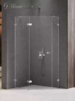 KABINA AVEXA PIĘCIOKĄTNA L 100x80x200 CZYSTE 6mm ACTIVE SHIELD