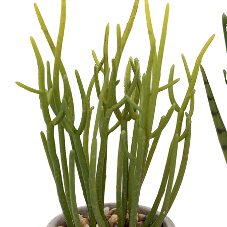 Small Succulents Ceramic Pots Set of 2