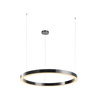 Lampa wisząca CIRCLE 100 cm - LED, ring tytan szczotkowany