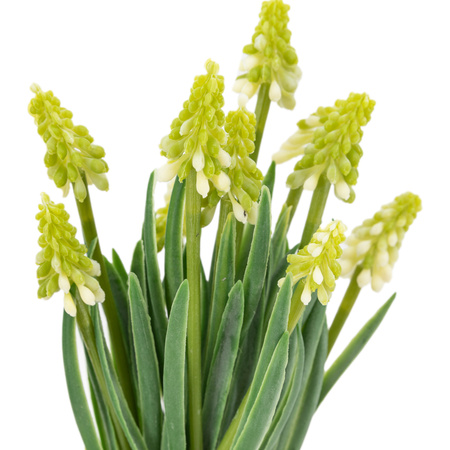 Spring Hydrangea White in Ceramic Pots Set of 2