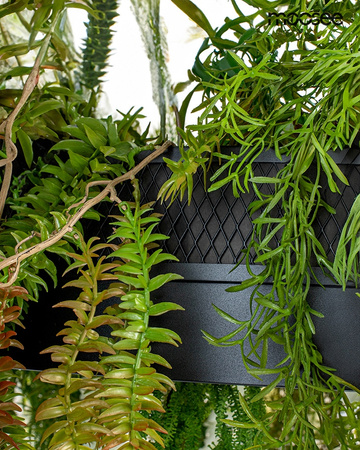 MOOSEE lampa wisząca GARDENS 50 czarna