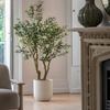Faux Olive Tree in White Pot 1900mm