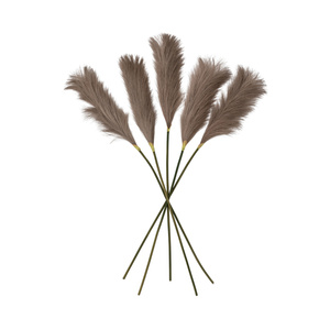 Goma Soft Feather Stem Brown (5 szt.) 720 mm