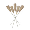 Goma Soft Feather Stem Blush (5 szt.) 720 mm