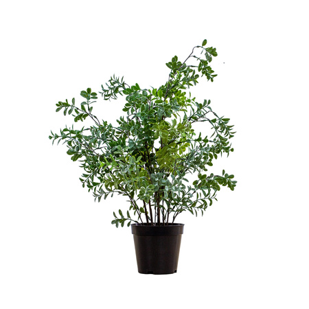 Potted Buxus Tree Green 400x400x600mm