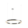 Lampa wisząca CIRCLE 100 cm - LED, ring nikiel szczotkowany