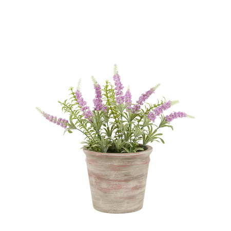 Potted Rustic Lilac Lavendar 280x280x300mm
