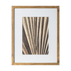 Sabal Framed Art
