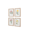 Floral Quartet Framed Art Set of 4