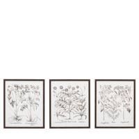 Evergreen Framed Art Set of 3