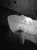 MOOSEE lampa wisząca ATLANTA LONG