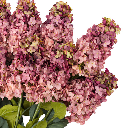 Vintage Cone Hydrandea Stem Pink (12pk)