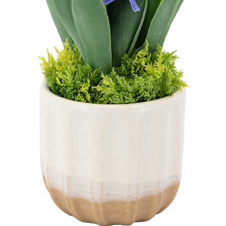 Spring Hydrangea Purple in Ceramic Pots Set of 2