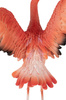 KARE dekoracja stojąca FLAMINGO ROAD FLY