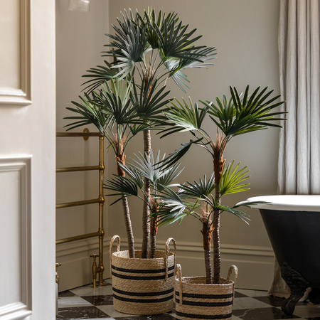 Potted Statement Palm 1170mm