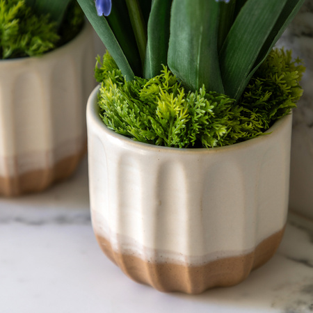 Spring Hydrangea Purple in Ceramic Pots Set of 2
