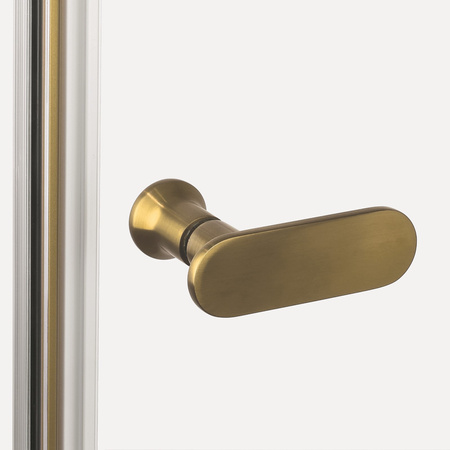 Drzwi wnękowe NEW SOLEO GOLD BRUSHED 2D U 100x195 szkło czyste 6mm Active Shield 2.0 - wahadłowe