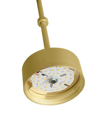 MOOSEE lampa wisząca CAPRI LINE 5 złota