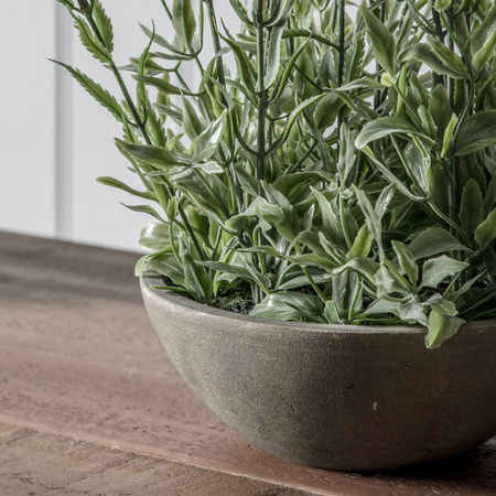 Potted Lavender Bowl Small 220x220x400mm