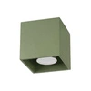 zielony oliwkowy \ Plafon 1