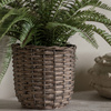 Potted Fern Plant 810mm