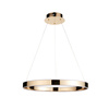 Gen 1 Pendant Light French Gold Finish