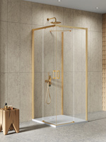NZ4 Kabina prysznicowa PRIME GOLD BRUSHED 2D prostokątna przyścienna L 100x80x200 szkło czyste 6mm Active Shield 2.0