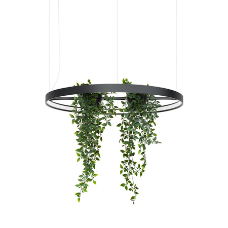 Żyrandol RIO BIO 78 czarny LED 4000K