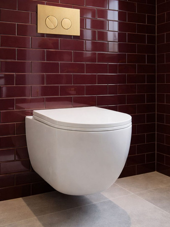Miska WC VORTEX z deską wisząca owalna biały połysk CANEO TR2196DF