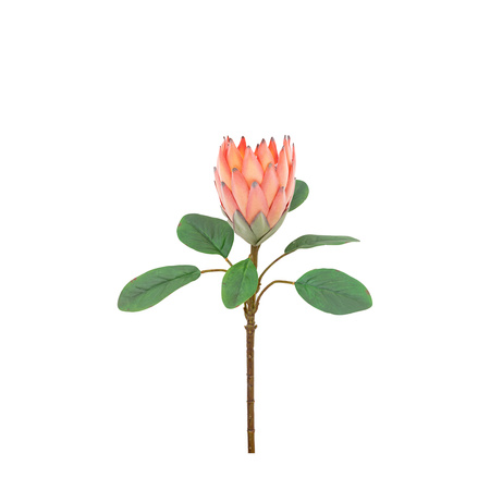 Faux Stem Statement Tropical Apricot 470mm (12pk)