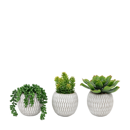 Small Succulents Ceramic Pots Set of 3