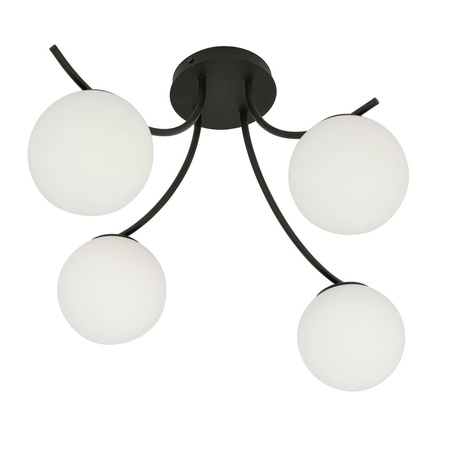 BOSTON 4 BLACK/OPAL