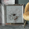 White Peony Framed Art 590x590mm