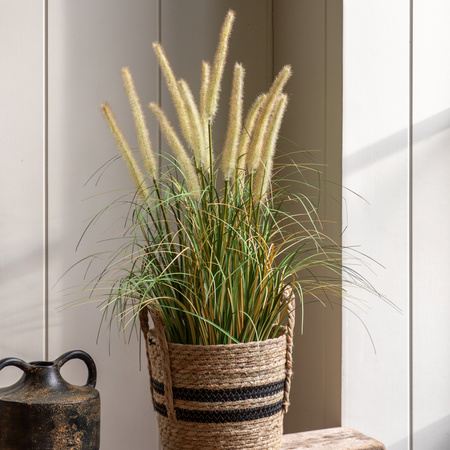 Potted Grass with Cattail Seed Heads 570mm