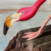 Wading Flamingo Framed Art 600x900mm