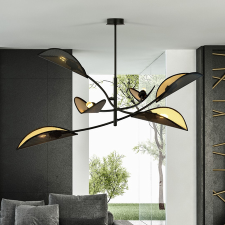 LOTUS 6 BLACK/GOLD