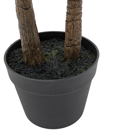 Potted Statement Palm 1170mm