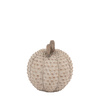 Resin Pumpkin Natural 240mm