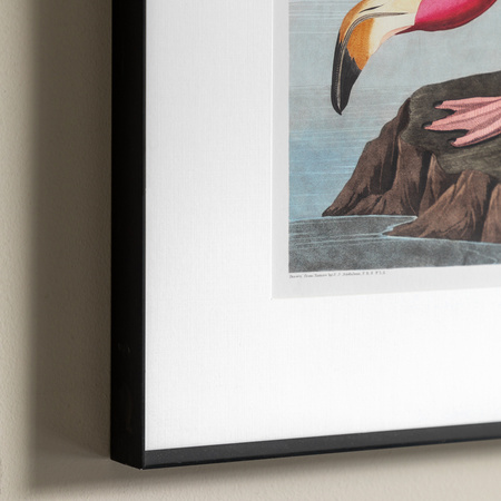 Wading Flamingo Framed Art 600x900mm
