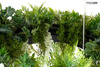 MOOSEE lampa wisząca GARDENS WISTERIA     120