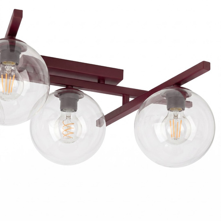 SMART 5 BURGUNDY TRANSPARENT