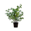 Potted Buxus Tree Green 400x400x600mm
