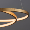 Scribble Pendant Light