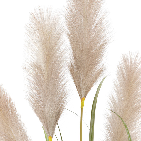 Potted Grass with Pampas Seed Heads 1270mm