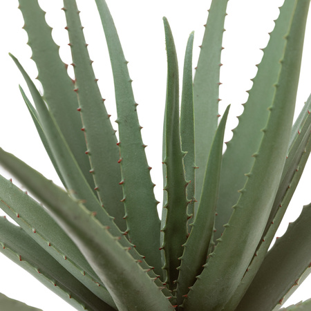 Faux Aloe Vera in Ceramic Pot