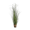 Potted Onion Grass Green 100mm