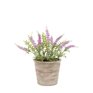 Potted Rustic Lilac Lavendar 280x280x300mm