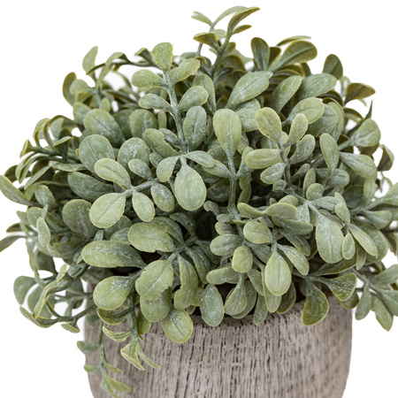 Potted Plant Ceramic Scratch Pots Sage Set of 2