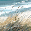 Making Waves Framed Canvas 620x20x770mm