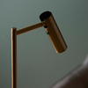 Dedicated Reader 1 Floor Lamp Satin Warm Brass